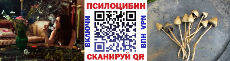 Купить где  Власиха  Псилоцибиновые грибы мухоморы 