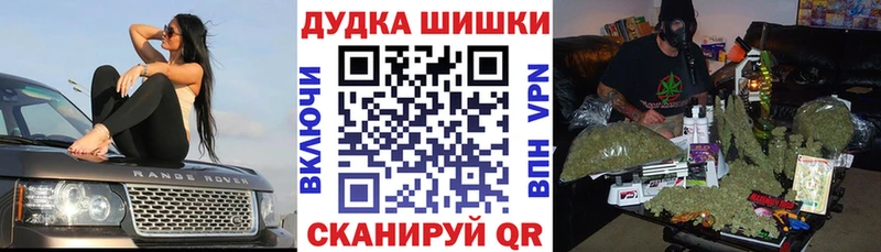 Каннабис индика  Купить где  Власиха 